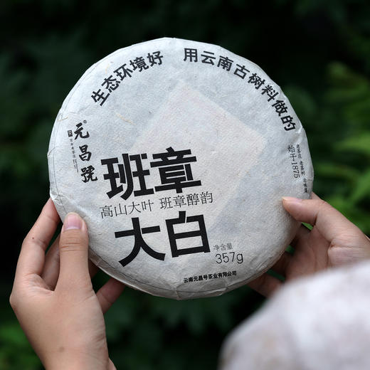 【元昌号】2022年班章大白古树白茶357g饼 商品图1