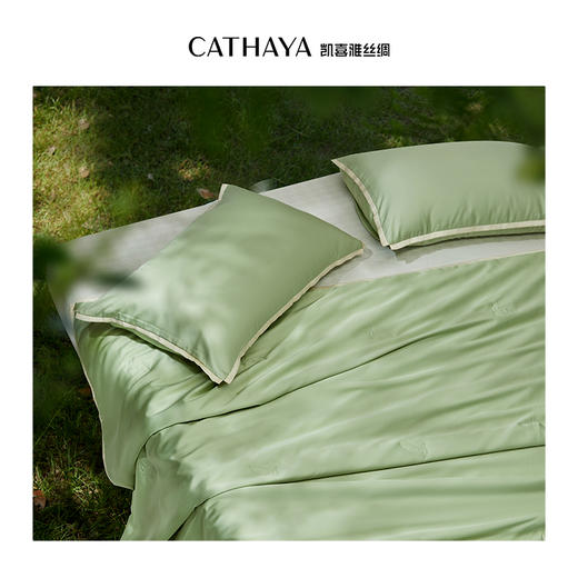 凯喜雅 科技茶纤维夏不语可机洗夏凉被 商品图2