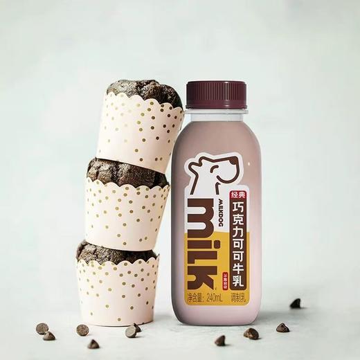 周五取货：【经典巧克力可可牛乳】一瓶240ml，保质期45天至2026.1.24. 商品图0