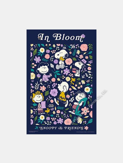 花漾时光/300片 商品图0