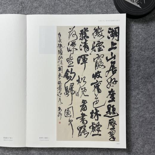 2021年中国书法年展·行书草书作品集 商品图9