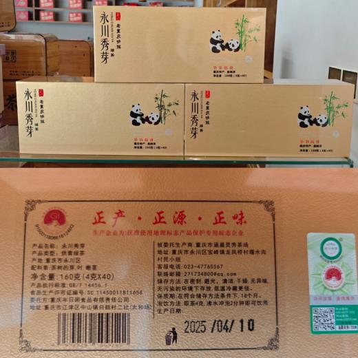新茶永川秀芽早春嫩芽浓香型重庆特产级绿茶高山明前茶叶100g 商品图5