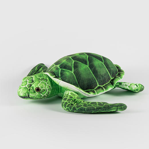 贝林自然世界35cm海龟毛绒玩具博物馆伴手礼 商品图0