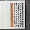 2021中国书法年展 全国篆书隶书篆刻作品集   商品缩略图2