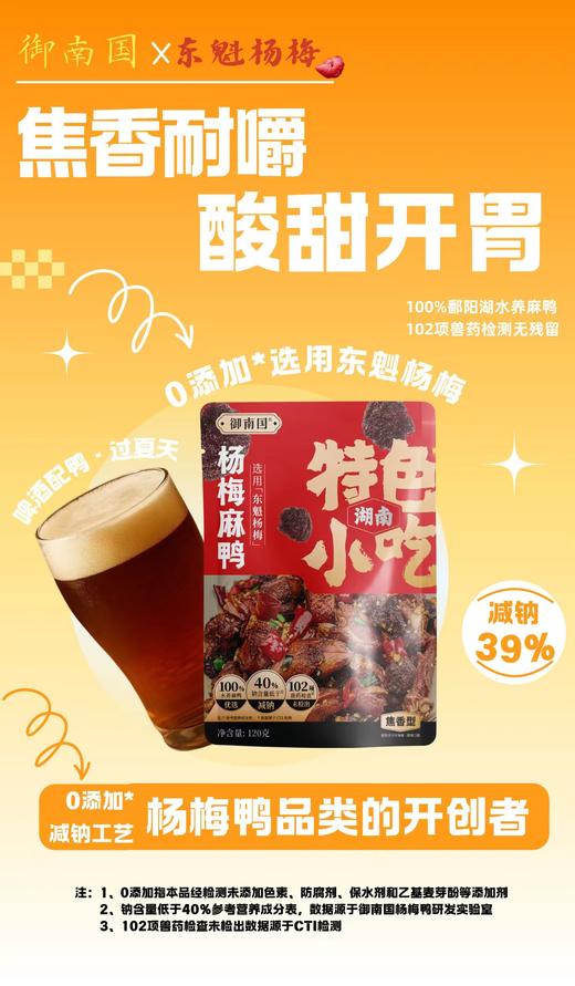 湖南私房菜杨梅鸭  真材实料 鲜香微辣120g/袋 商品图3