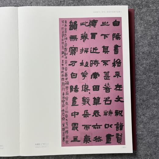 2021中国书法年展 全国篆书隶书篆刻作品集   商品图5