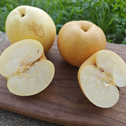 有机梨（中通，苏翠&新玉） | 合作生产 *Organic pear | Partner Production 商品图3