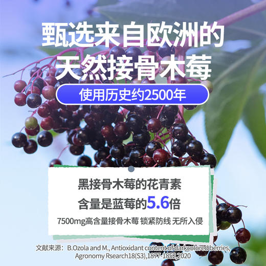 ³近效清仓【接骨木莓蒲公英特膳饮/益生元刺梨特膳饮】10g*14条/盒 效期至26年8月 XN03-CRMM-HPK 商品图8
