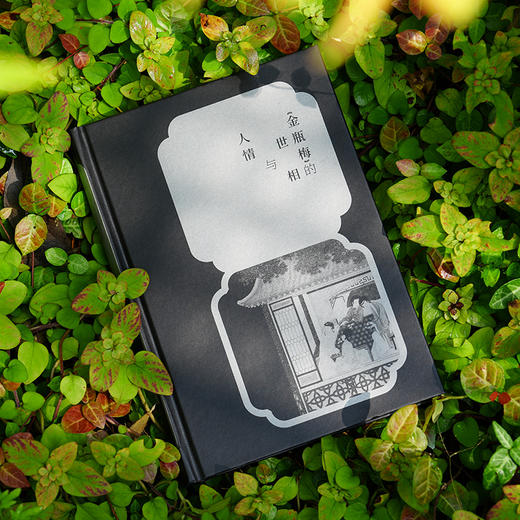 《金瓶梅》的世相与人情 商品图2