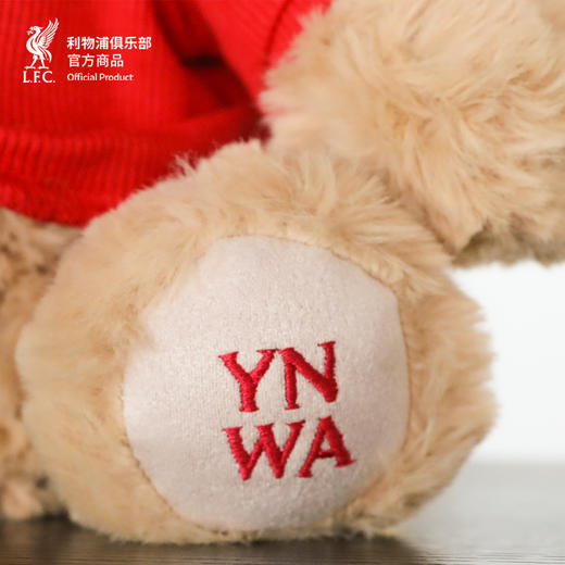 【官方正版】利物浦俱乐部 | 软萌毛绒兔子玩偶球迷周边礼物 商品图3
