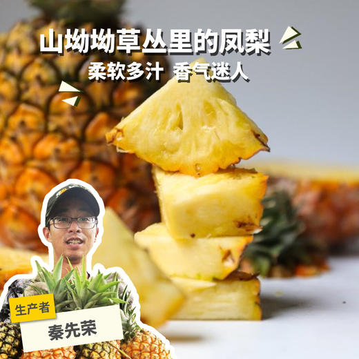 生态凤梨 | 合作生产*Eco- pineapple | Coproduction 商品图0
