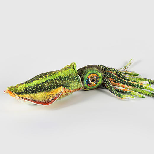 贝林自然世界45cm鱿鱼毛绒玩具博物馆伴手礼 商品图0