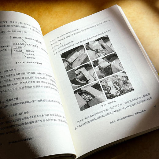 跨学科课程的10个创意教学设计 叶王蓓 立足新课程标准 中小学案例 商品图13