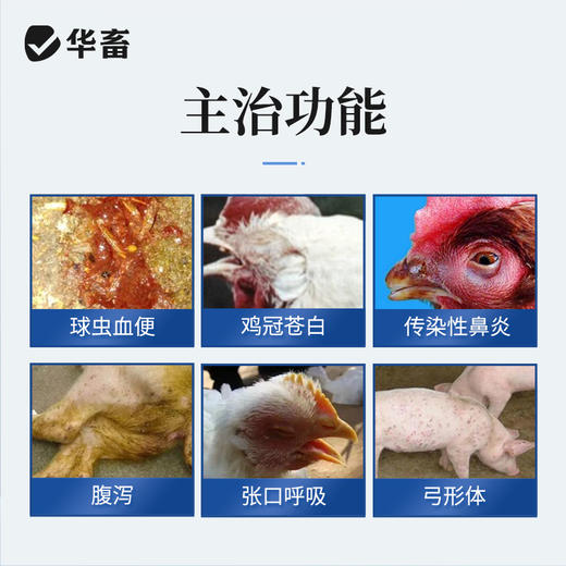 华畜复方磺胺间甲氧嘧啶钠可溶性粉100g  鸡兔球虫 呼吸道病 商品图1