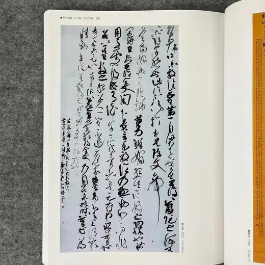 【国展参考-书谱二王集】 商品图7