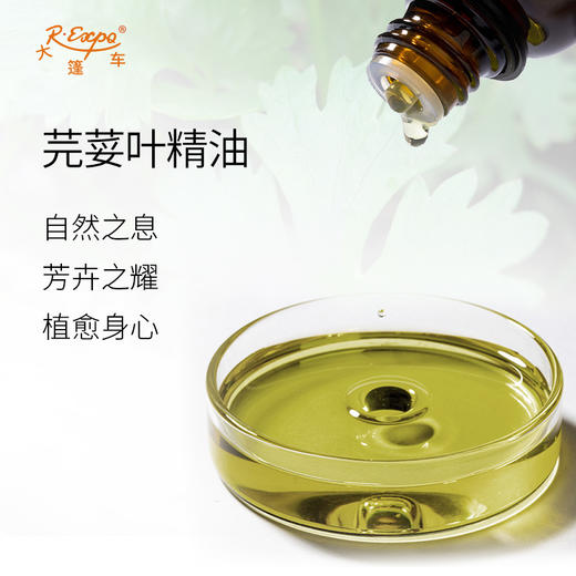 芫荽叶精油 俄罗斯进口单方精油原料批发芳疗护理调香 大篷车精油 商品图1