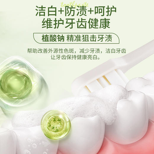 安姑娘植物洁白牙膏无氟无香精美白氨基酸PLA环保可降解牙刷纯素 商品图4