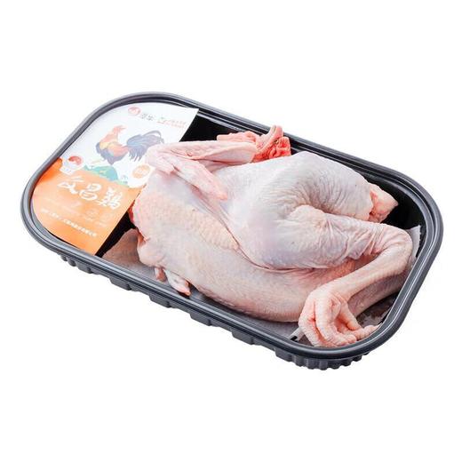 冷鲜 文昌鸡/份 母鸡 商品图2