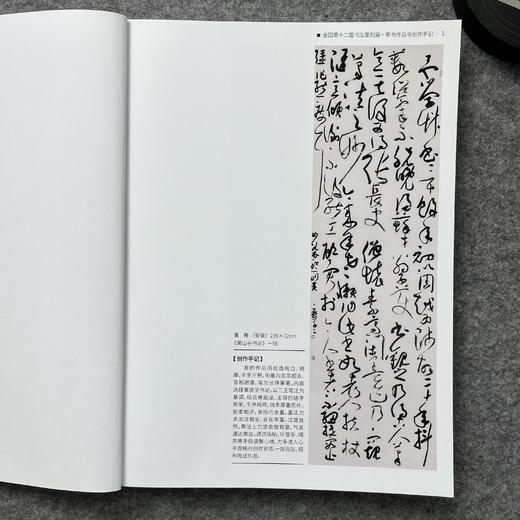【全国十二届书法篆刻展-草书入展创作手记十二届国展-草书创作手记】 商品图7