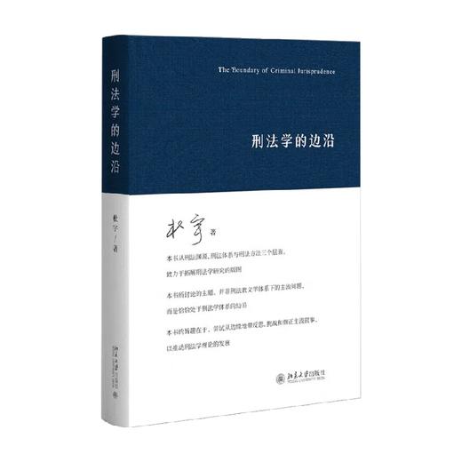 刑法学的边沿 杜宇 著 法律 商品图0