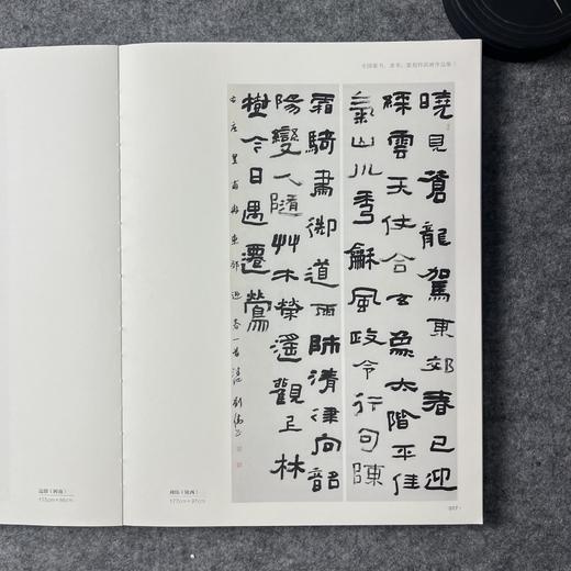 2022中国书法年展 全国篆书隶书篆刻作品集 商品图9