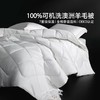 【新品上市】水星家纺A类可水洗羊毛阳光卷毛3.0四季被二合一被甄选 商品缩略图0