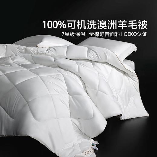 【新品上市】水星家纺A类可水洗羊毛阳光卷毛3.0四季被二合一被甄选 商品图0