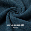 【100%绵羊毛】圣得西男士基础款型重磅羊毛衫2025秋季新款舒适百搭毛衣 商品缩略图10
