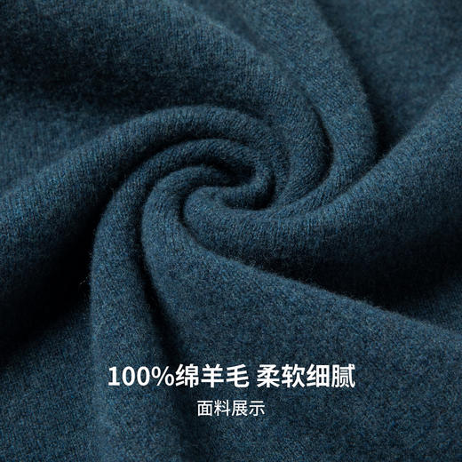 【100%绵羊毛】圣得西男士基础款型重磅羊毛衫2025秋季新款舒适百搭毛衣 商品图10
