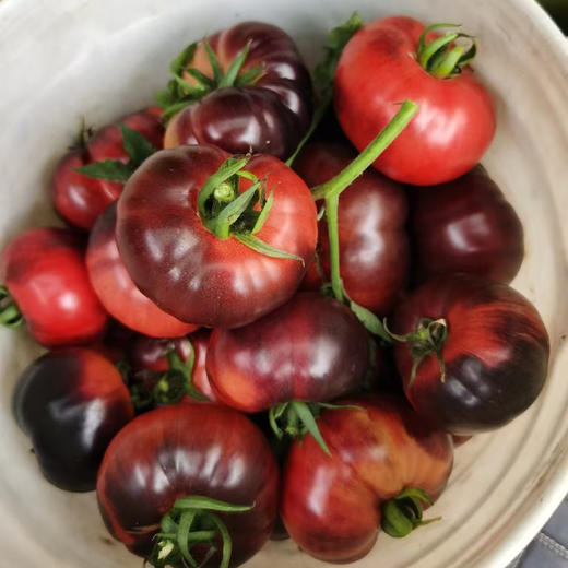 康美鲜黑番茄  自然生长，番茄黑化程度每颗不一样，介意慎拍 商品图10