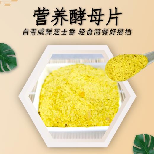 营养酵母片  冲调便食调味增鲜130g/罐【京东快递送货上门】 商品图1