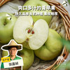 有机瑞雪苹果 | 合作生产 Organic ruixue apple | Partner Production 商品缩略图0