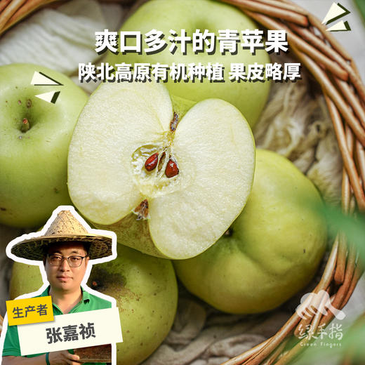 有机瑞雪苹果 | 合作生产 Organic ruixue apple | Partner Production 商品图0