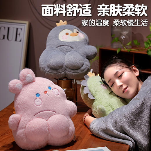 自然醒PP系列二合一抱枕毯两用办公室折叠午睡枕头毯子二合一沙发汽车靠枕QYL 商品图2