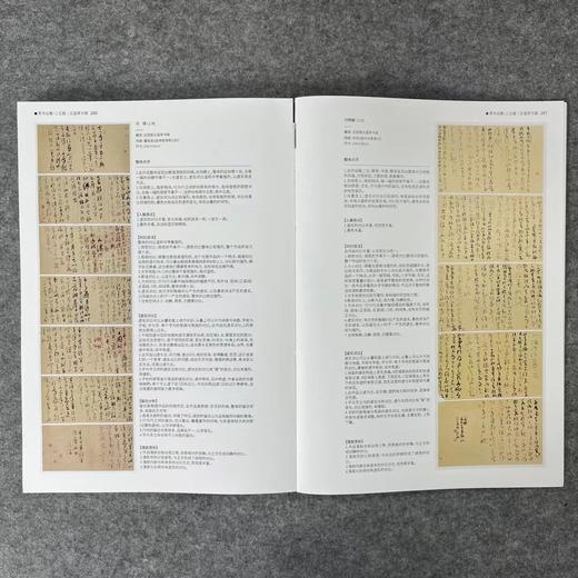 【国展参考-书谱二王集】 商品图5