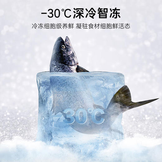 卡萨帝（Casarte）601升致境系列原创平嵌十字四开门自动制冰三系统超薄国家补贴冰箱BCD-601WGCTDM4DBU1 商品图5