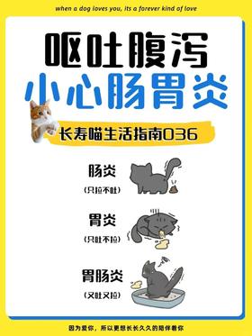 警惕！猫咪呕吐腹泻背后的肠胃炎