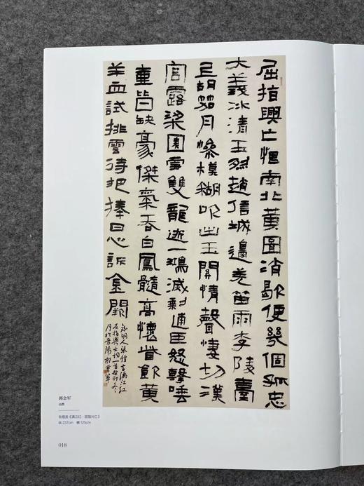 全国第十三届书法篆刻展览作品集 一套四本精装 商品图5