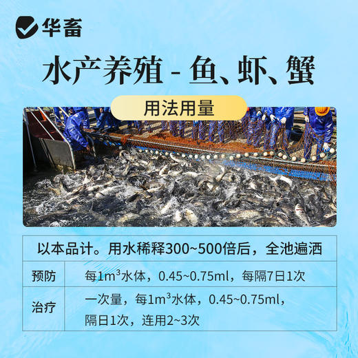 华畜聚维酮碘水产专用消毒液鱼塘乌龟鱼虾蟹池塘杀菌消毒剂复合碘 商品图3