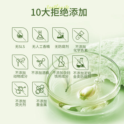 安姑娘植物洁白牙膏无氟无香精美白氨基酸PLA环保可降解牙刷纯素 商品图5