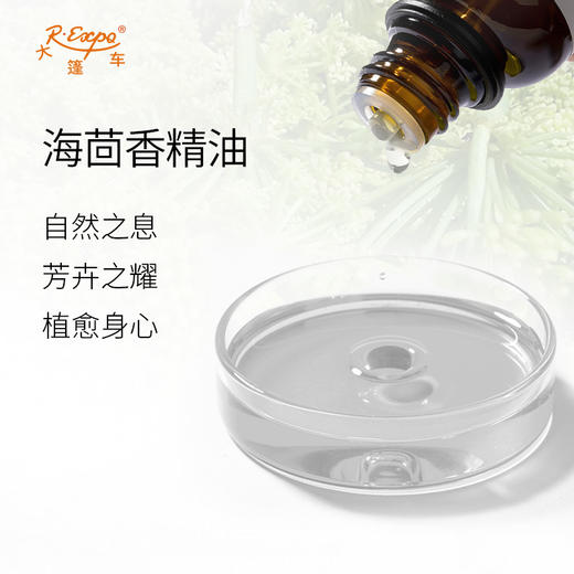 海茴香精油 希腊进口单方精油原料批发芳疗个人护理调香按摩 商品图1