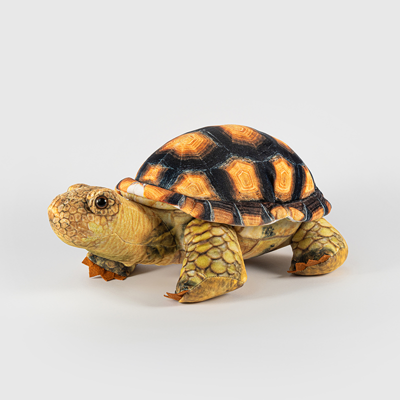 贝林自然世界35cm乌龟毛绒玩具博物馆伴手礼