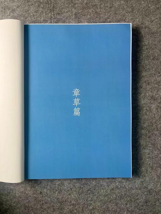 【国展参考-章草王铎倪元璐集】 商品图1