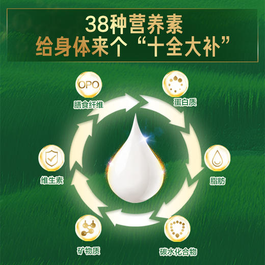 贝因美全能优+强化营养配方奶粉全家营养奶粉800g成人粉 商品图2