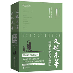 文起京华：新北京作家群作品精选（HJSD）