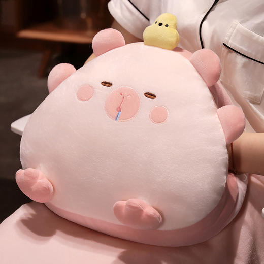 自然醒饭团水豚三合一抱枕毯办公室暖手抱枕午睡神器枕头车用睡觉女生珊瑚绒毯子QYL 商品图13