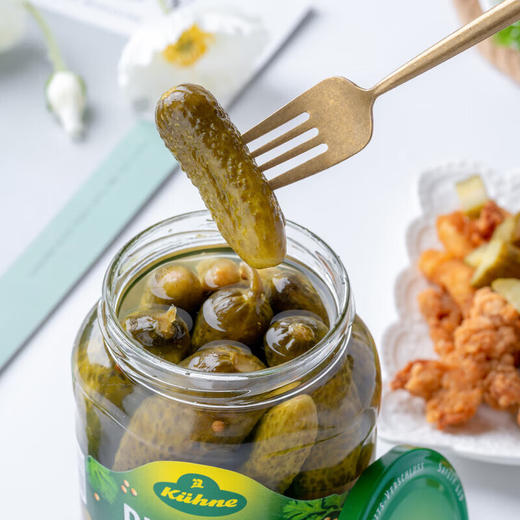 德国冠利俄式酸青瓜670g/030709 汉堡配菜开封即食腌制小黄瓜 商品图1