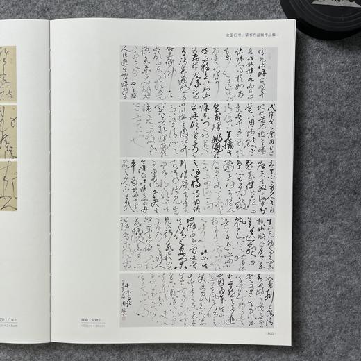 2022中国书法年展-全国行书草书作品展作品集 商品图4