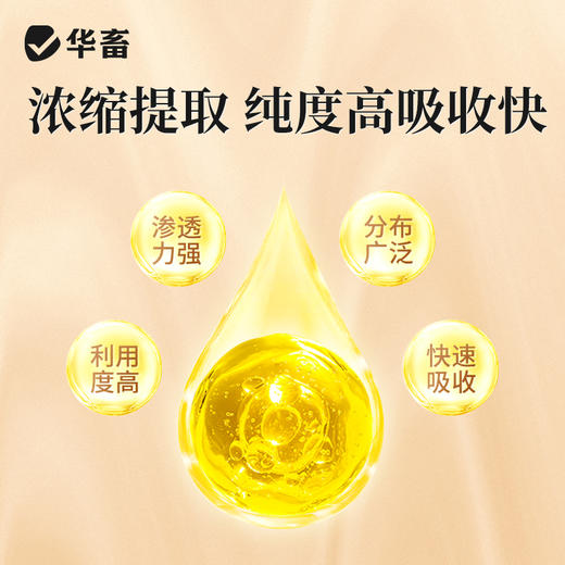 华畜四黄止痢颗粒 清热泻火湿热止痢 严选中药材吸收快 禽畜通用 商品图3