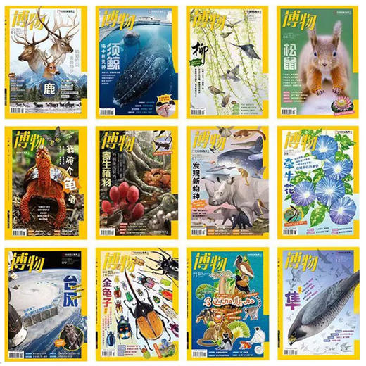 博物杂志2025年第四季刊共3期 商品图3